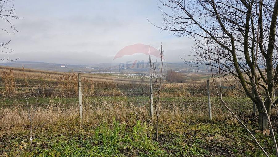 Teren extravilan 10,791mp Falticeni / Strada DJ209A, Opriseni - 13