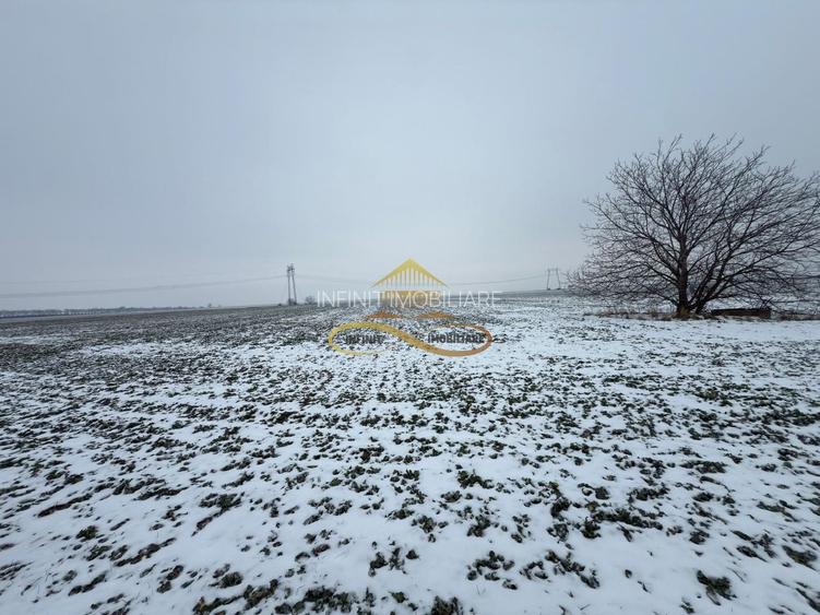 Teren agricol extravilan in Itesti de vanzare - 7