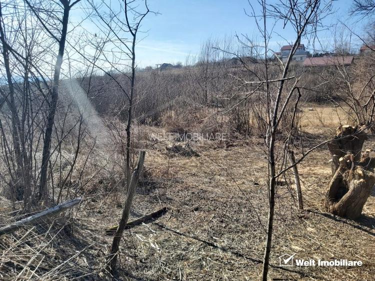 Teren intravilan, 1000 mp, Ciurila - 3