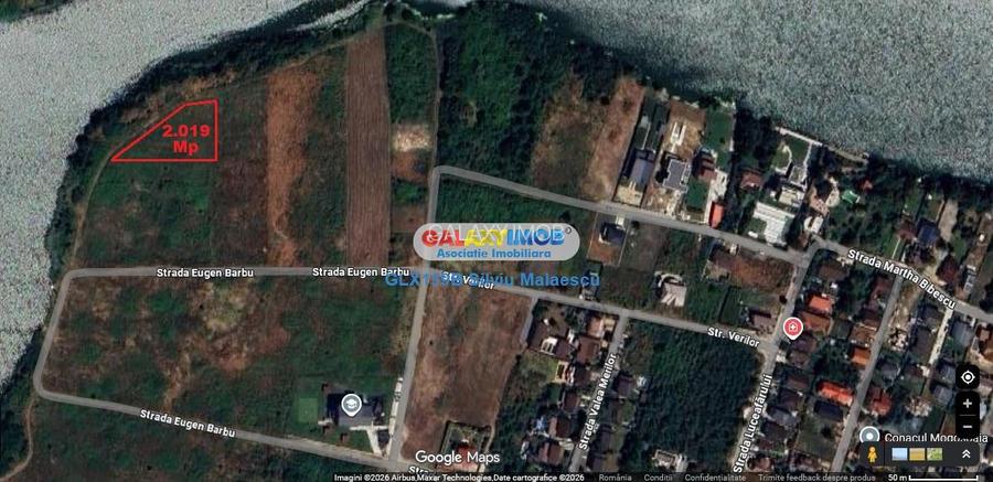 Mogosoaia 2.019 Mp LAC - IDEAL INVESTITIE - 6