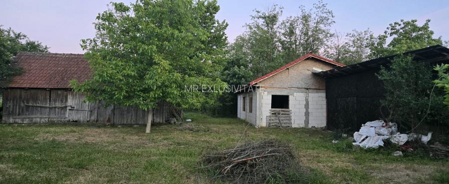 Casă cu 7.769 mp teren și pădure | Budieni | 53.000€ - 15