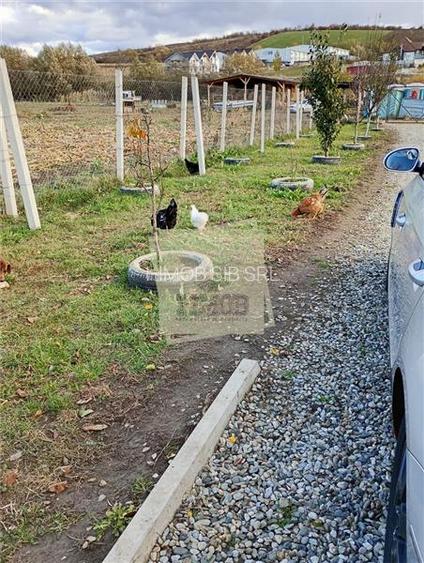 Teren cu apa si curent 700 mp in Sura Mare - 4