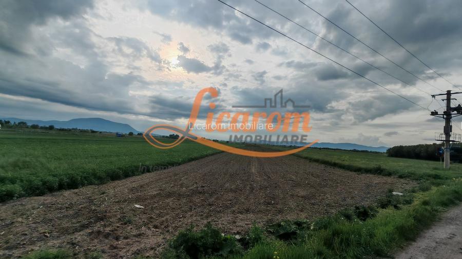 Teren Stupini Calea Feldioarei 11800 mp,25 euro/mp, front asfalt-DN13 - 2