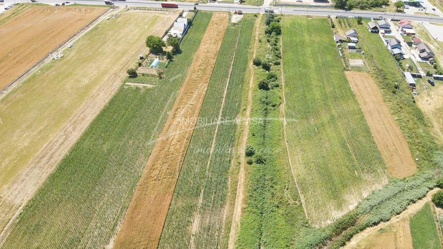 Teren cu potențial de dezvoltare –7427 mp în Argeșelu, Mărăcineni, județul Arges - 6