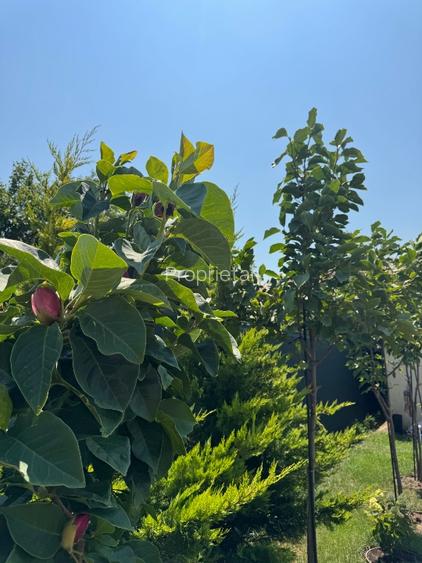 Vila premium de vânzare  - 12