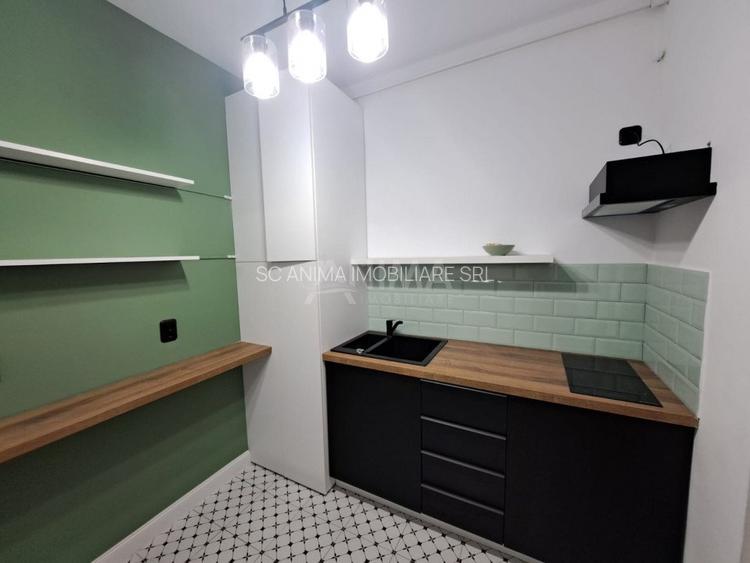 Apartament 1 camera in zona ultracentrala, ideal birouri - 10