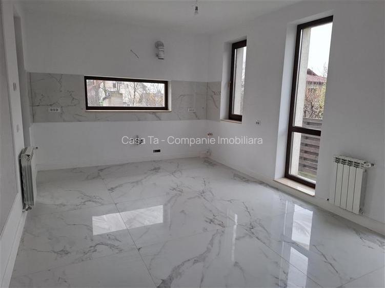 Vila deosebita Popas Pacurari - 17