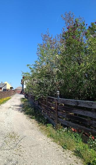 CASE+TEREN+HALE  SACELE BRAȘOV.    - 5
