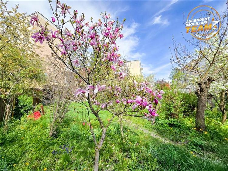 Casa pe strada Lazar Mihaly, Sfantu Gheorghe, cu 645 mp teren - 22