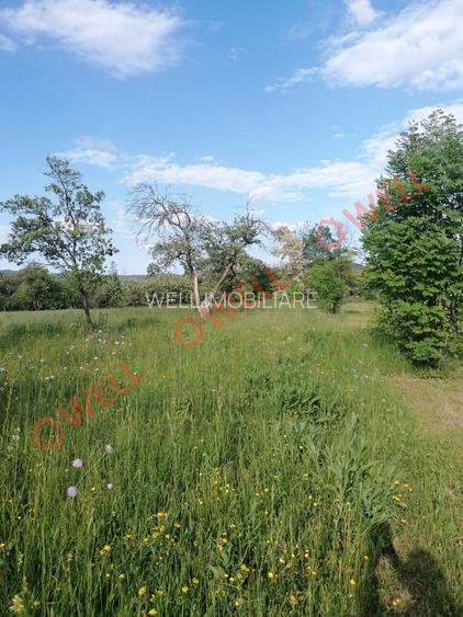 De vânzare teren intravilan în Estelnic! - 7