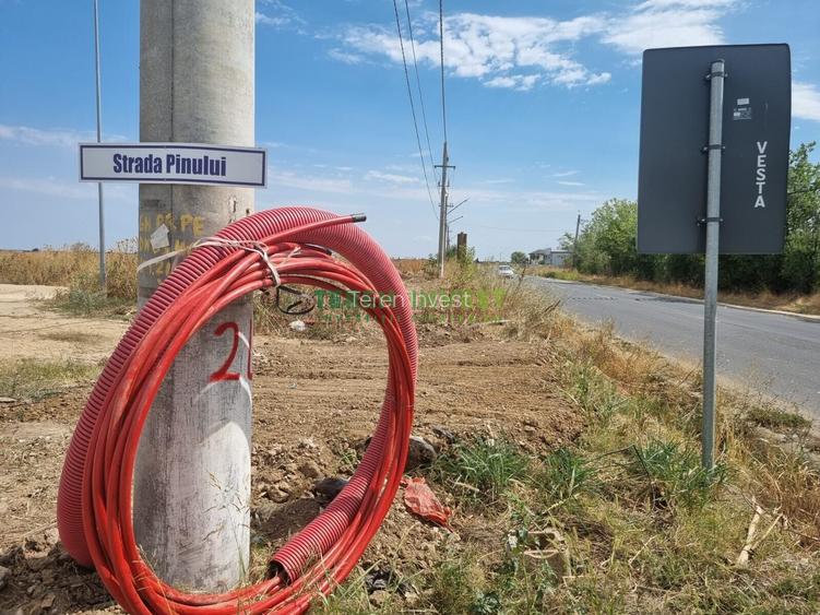 TEREN INDUSTRIAL 20.000 MP - CERNICA - A2 PUZ APROBAT - 2