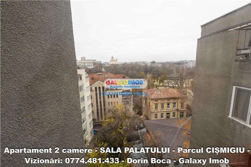 Airbnb 2 camere  SALA PALATULUI (Str Poiana Narciselor) CENTRALA - 25