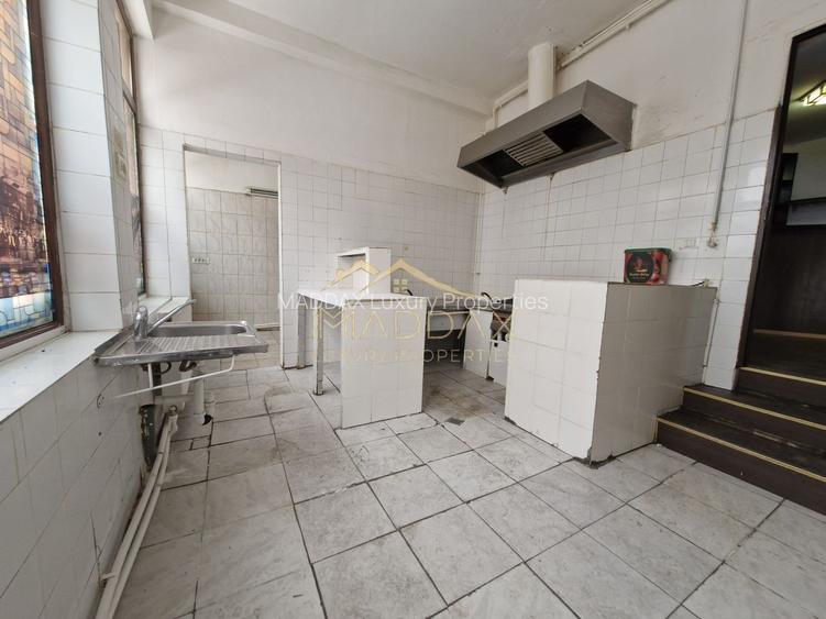 Spatiu Comercial ***223mp // Parcul Carol - 24