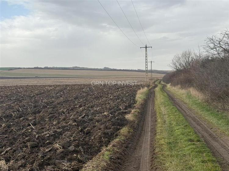 Teren extravilan in EXCLUSIVITATE 20300 mp in Sura Mica - 2