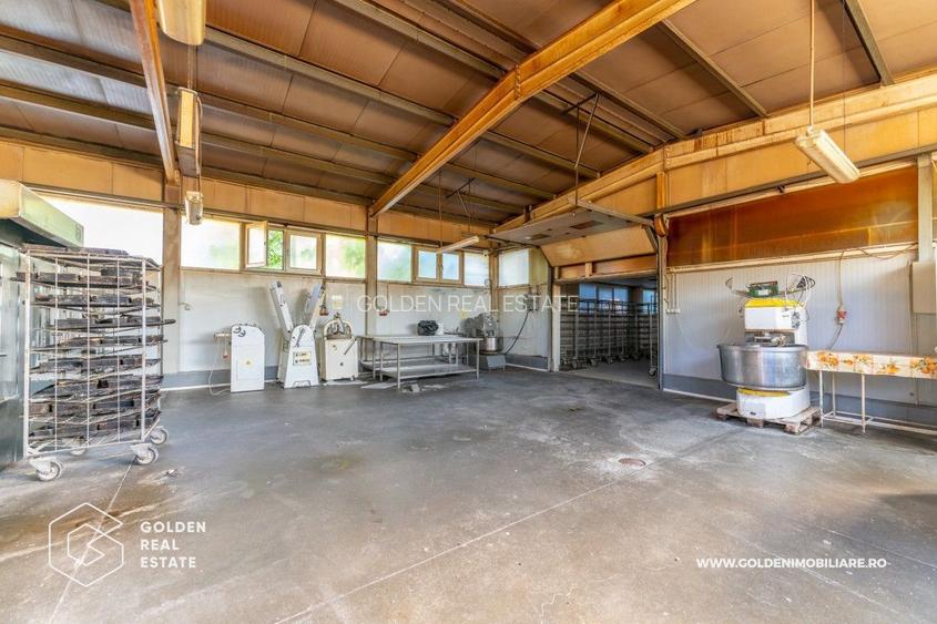Locuinta de familie cu spatiu ideal pentru dezvoltarea unei afaceri - 15