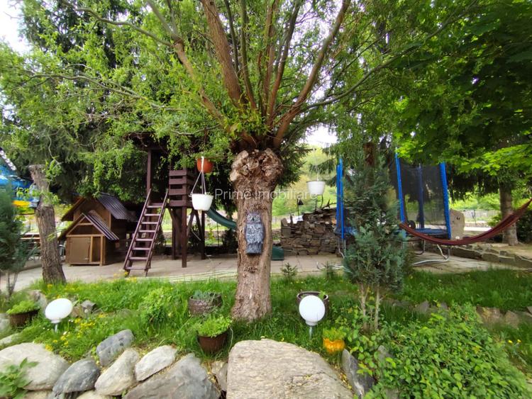 Cabana de vis, 7 camere, 320mp zona Strungari - 13