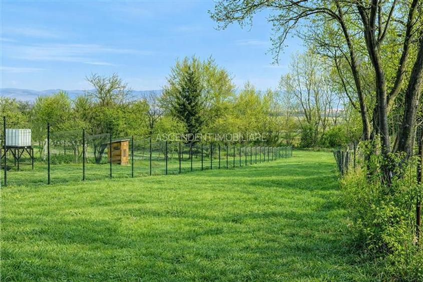 Teren 1.120 mp,Dobolii de Sus:liniste,aer curat si multiple posibilitati de util - 2