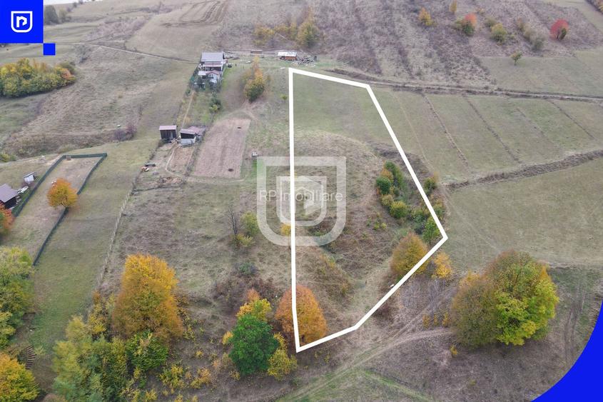 Teren - Gura Humorului |  BUCOVINA | 20€ mp - 5