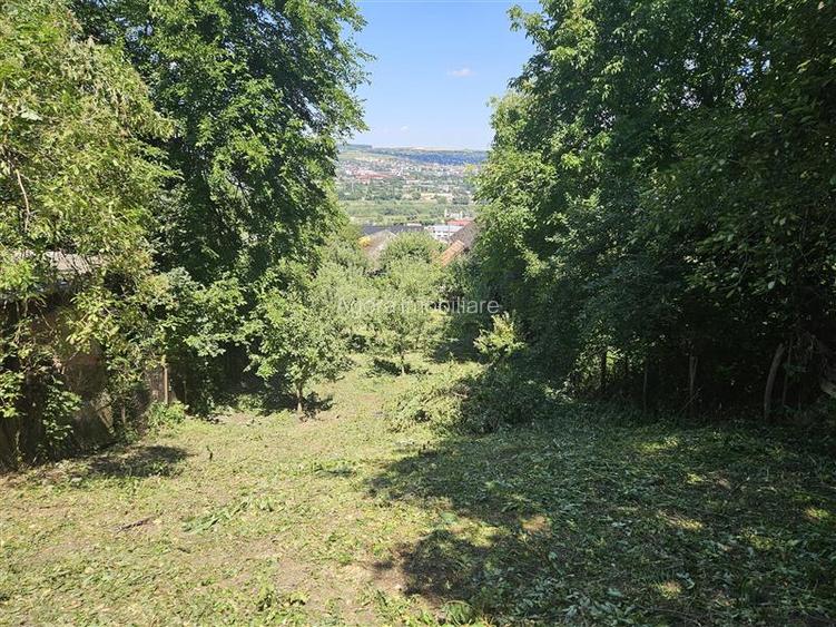 Teren , strada M. Sadoveanu, 7 ari. - 4