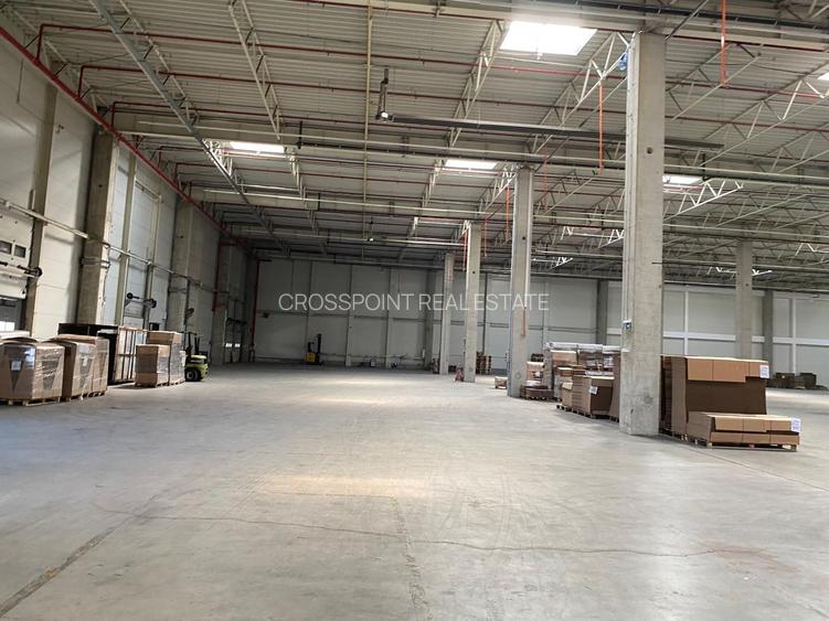 Subinchiriere - Parc logistic Chitila Sos. de Centura NV - 7