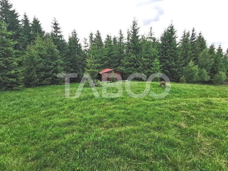 Teren cu puz intravilan in localitatea Paltinis din judetul Sibiu - 3