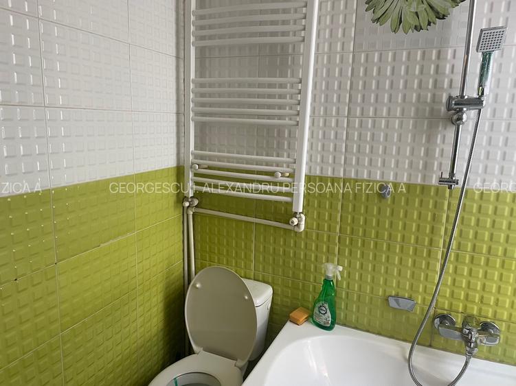 Parc Carol  2 Camere  Curte Individuala - 10