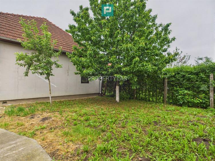 Casă Individuală cu spațiu comercial - Variaș - 21