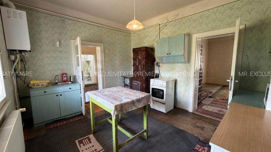 Casă 4 camere, Teren 1955 mp Str. Vezendiului Nr. 366 - Loc. Petrești, Satu Mare - 6