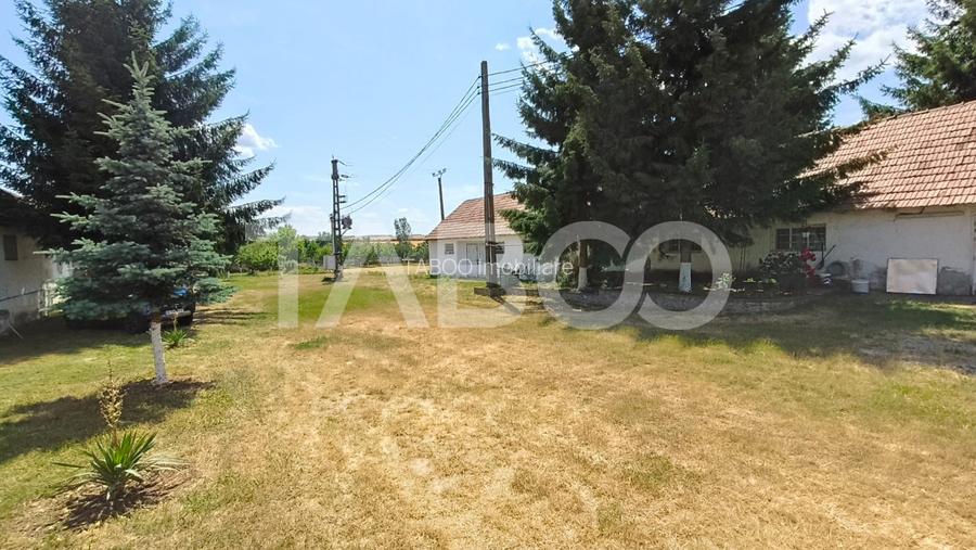 Platforma industriala cu cladiri de vanzare in Salistea de Alba - 2