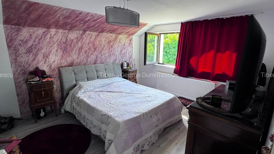 Casa Cartier Dealul cu Tei - 13