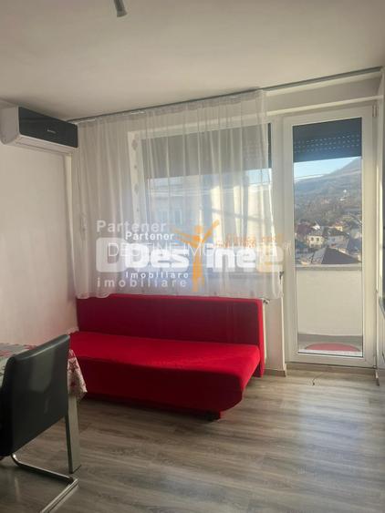 Apartament 2 camere, Baia Mare, Victor Babes, decomandat, mobilat, etaj 8 /10 - 10
