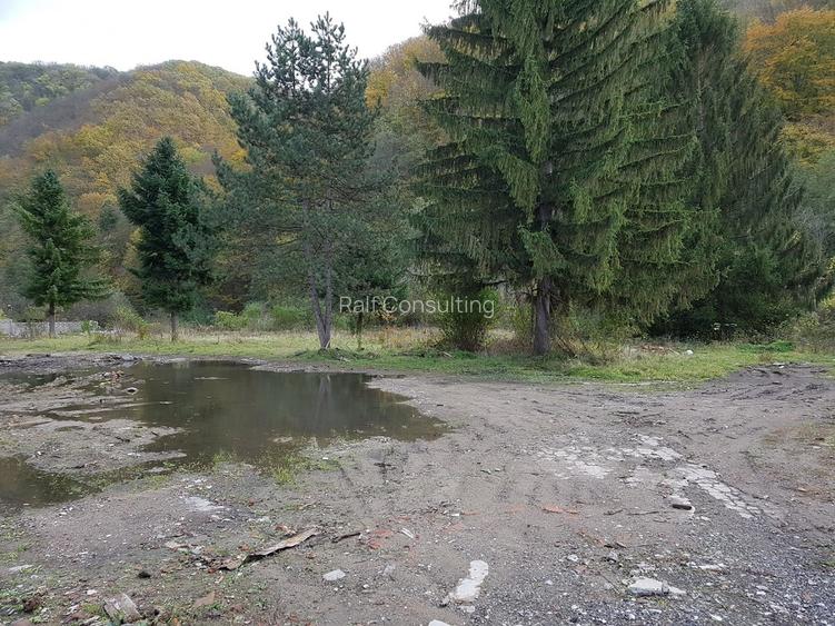 Teren intravilan ideal si de investitie, in Loc. Resita, strada Ciresului - 9