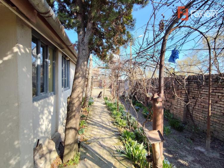 Casa cu 3 camere de vanzare in Jimbolia, teren pe colt - 13