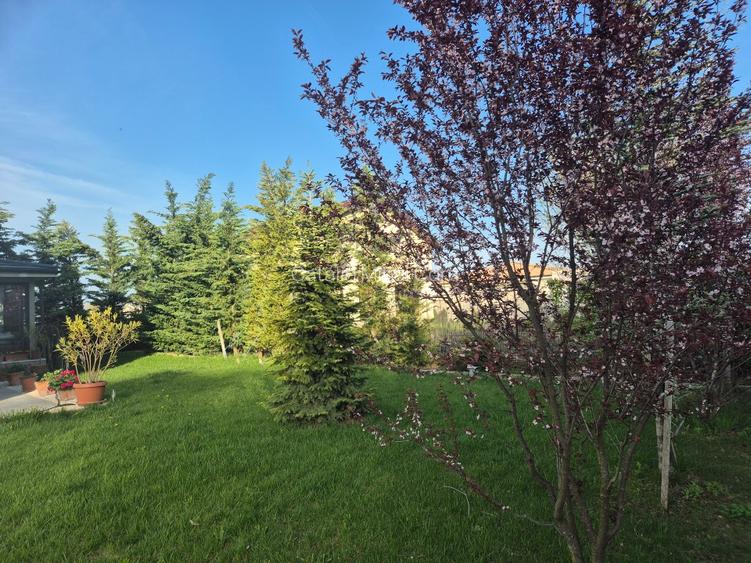 Snagov Astoria/Santu FLoresti langa padure si lac vanzare casa, proprietar - 3