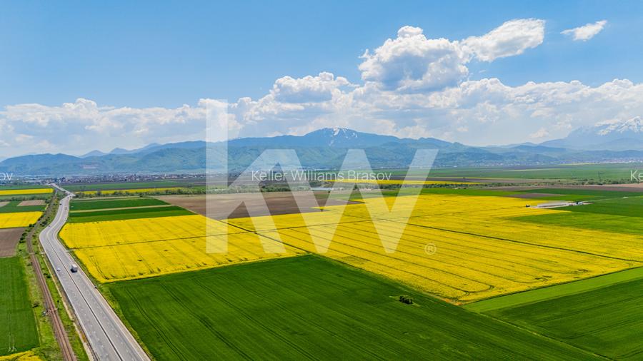 Teren 10.600 mp în Codlea – ideal pentru investiție industrială - 5