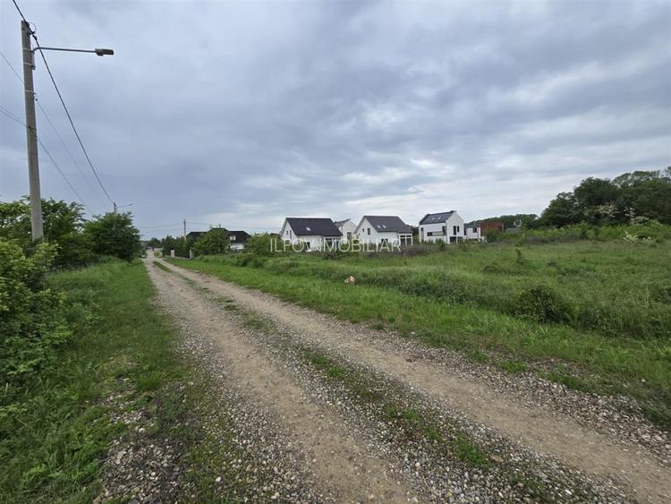 Teren intravilan Balotesti 9782mp 96ml deschidere langa padure - 5