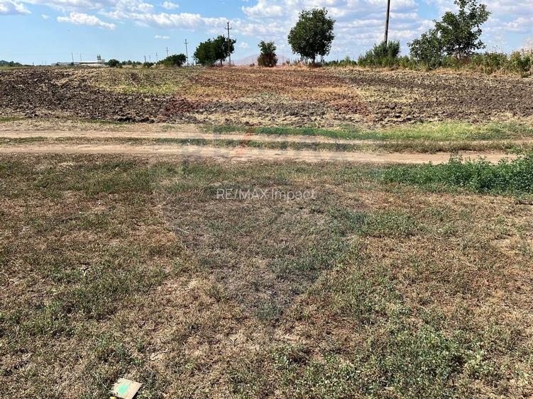 De vanzare teren, intravilan 4000 mp, deschidere 150 m,  Fundulea - 6