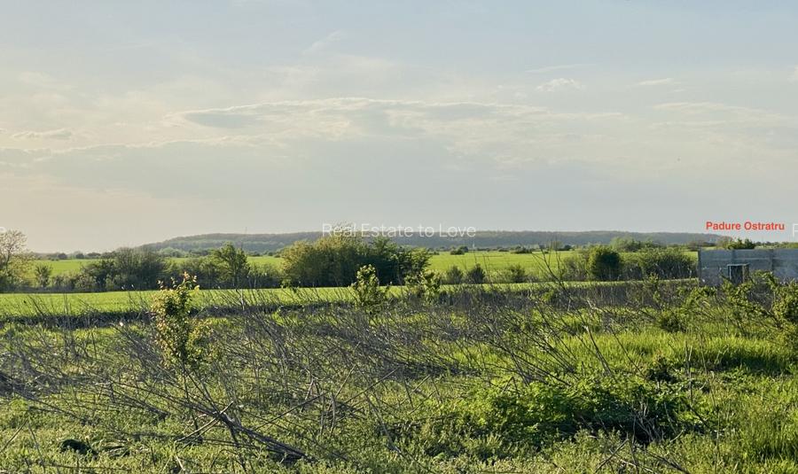 Teren Corbeanca, Balotesti, retras, cu pădure si lac in apropiere - 7