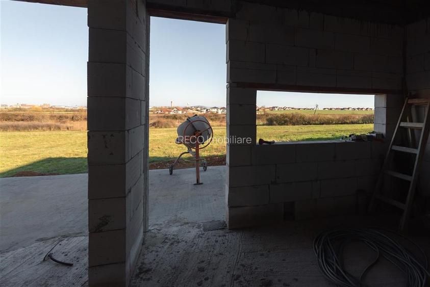 Reco, Casa la rosu Andromeda Oradea - 22