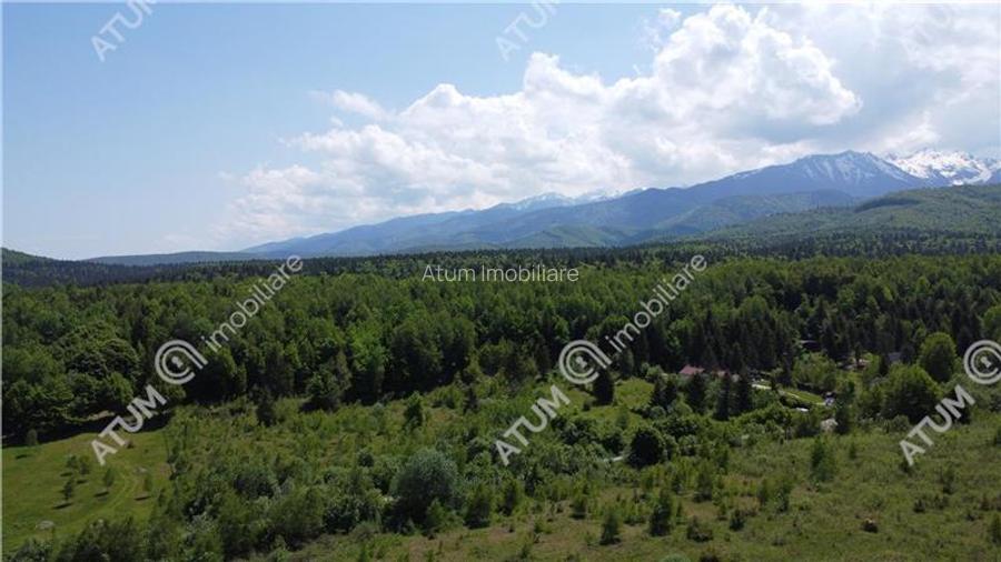 Teren intravilan 1000 mp de vanzare in Avrig zona Valea Avrigului - 4