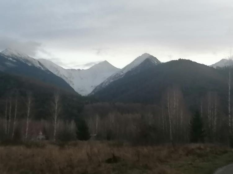 Vanzare casa individuala  plus teren 800 mp Vistisoara