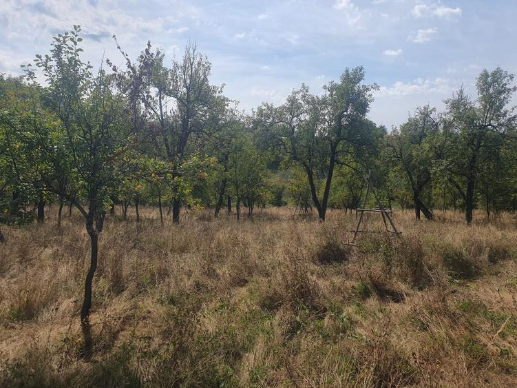 Teren intravilan  4.512 m  – Nucșoara  Argeș, 2 căi de acces, toate utilitățile.
