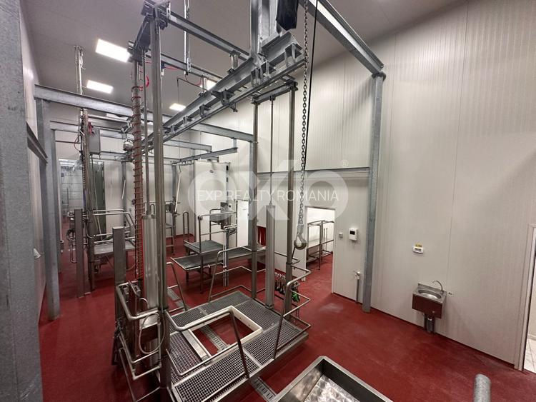 Ferma cu abator autorizat | Singureni Giurgiu - 12