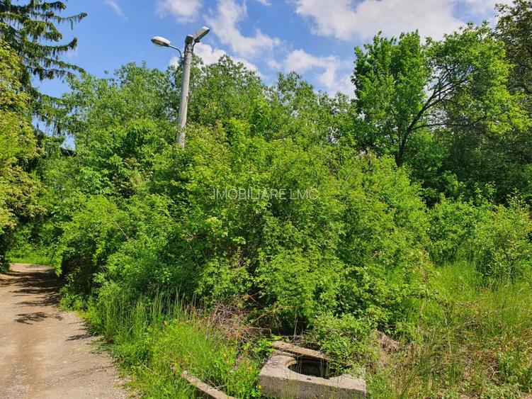 TEREN DE VANZARE - 4