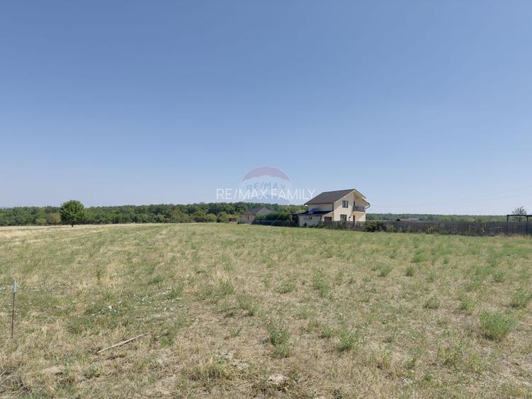 Teren 2,841mp Apateu / Strada Principala langa Biserica Ortodoxa - 17