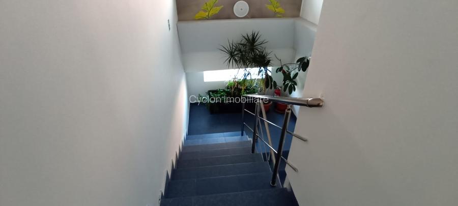 Vanzare spatiu productie 800 mp  D+P+Et1+M zona Rahova Bucuresti sector 5 - 21