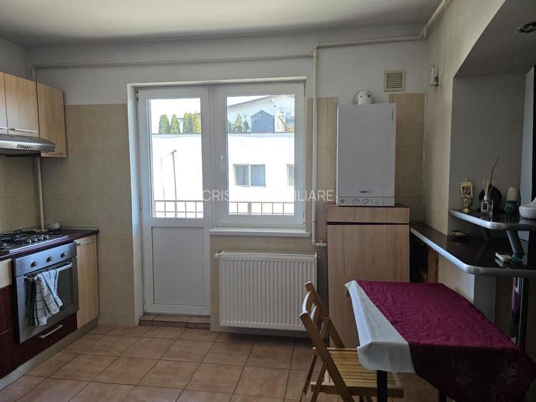 Garsonieră spațioasă Ozana, parcare, centrală proprie, balcon, pet friendly - 6