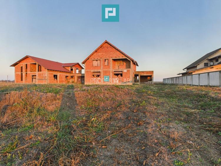 Proprietate impresionantă între Curtici și Macea - 3