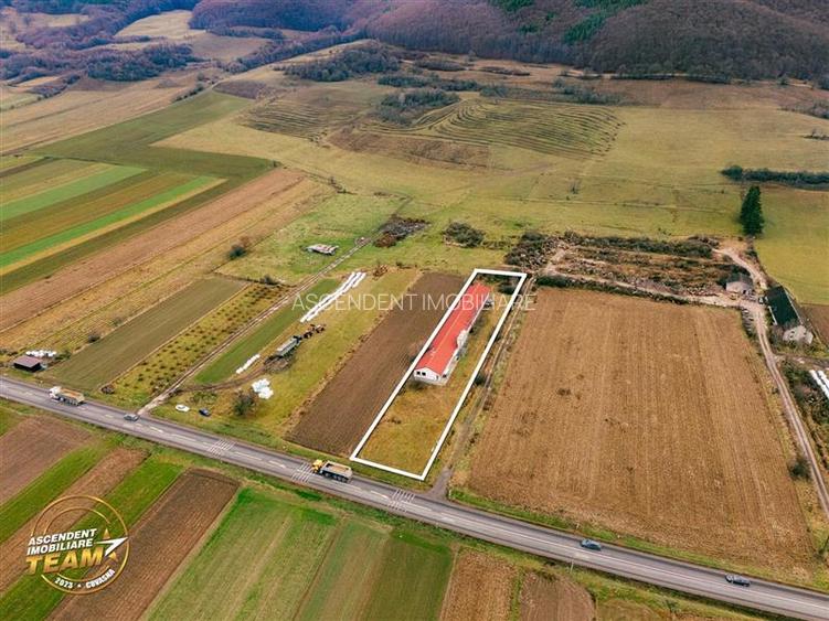 FILM! Ferma de iepuri,Malnas,Covasna: domeniu:comercial/industrial,asset UE - 7