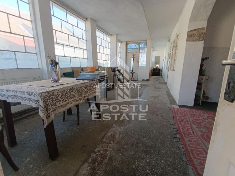 Casa individuala cu teren generos 2158mp, front 12m, livada, Freidorf - 48